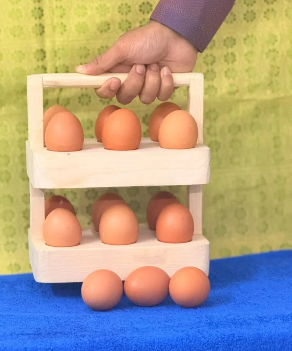 Small Egg Holder