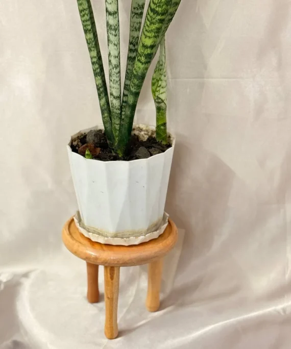Plant Holder - 4pcs Set