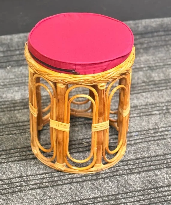 Cane Tool