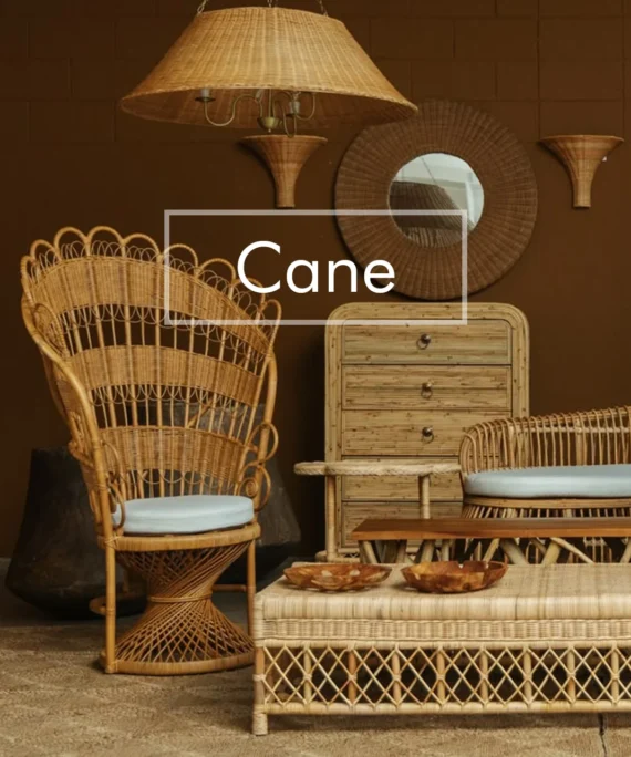 Cane Items