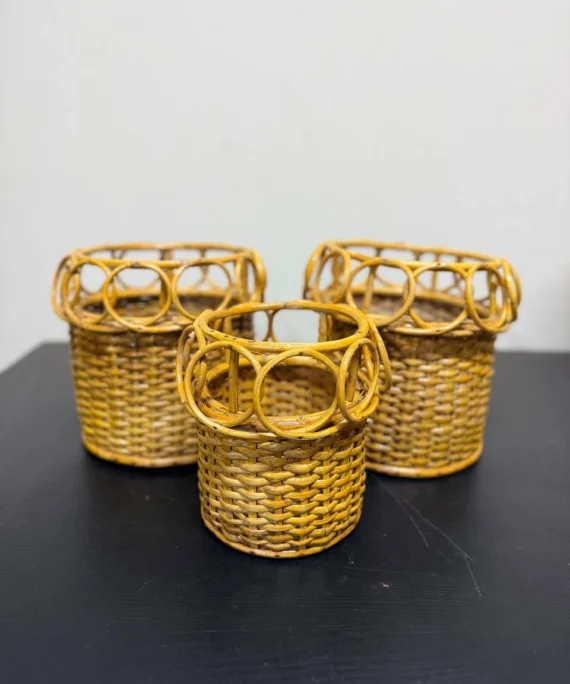 Cane Planter